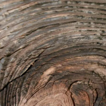 דירה Terry Lodge-luxury Apartment-central Area אפריקה